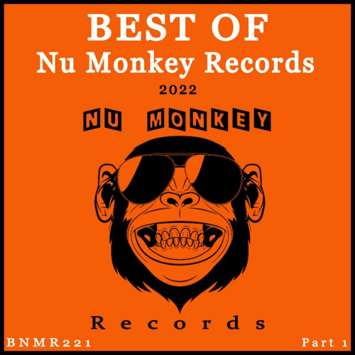 VA - Best Of Nu Monkey Records 2022, Pt. 1 (2022) MP3 