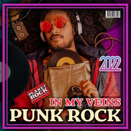 VA - Punk Rock In My Veins (2022) MP3 