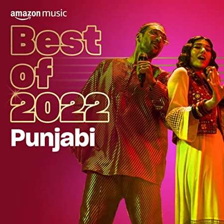 VA - Best of 2022 Punjabi (2022) MP3 