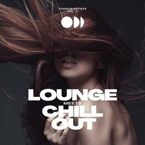 VA - Lounge Meets Chill Out, Vol. 2 (2023) MP3 
