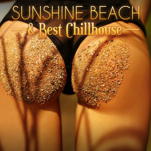 VA - Sunshine Beach & Best Chillhouse (2023) MP3 