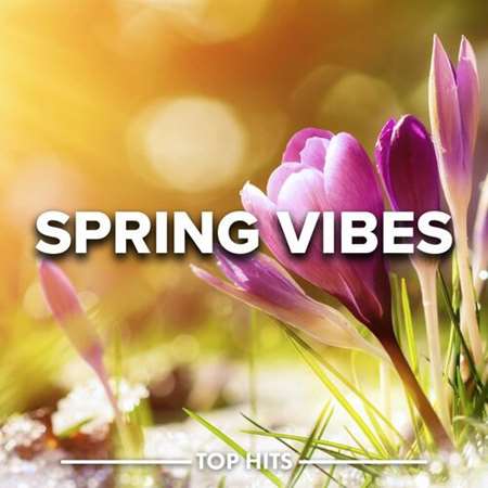 VA - Spring Vibes (2023) MP3 