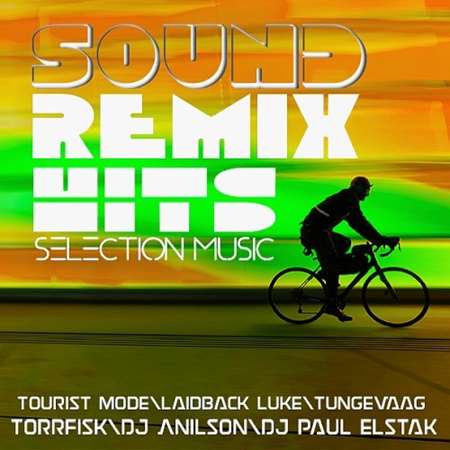 VA - Selection Music Remix Hits Sound 02 (2023) MP3