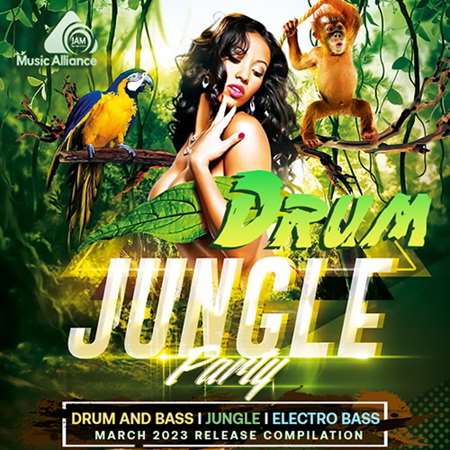 VA - Drum Jungle Party (2023) MP3 