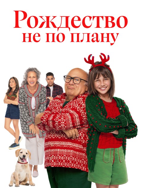 Рождество не по плану / A Sudden Case of Christmas (2024) WEB-DLRip от New-Team | P2 | ViruseProject